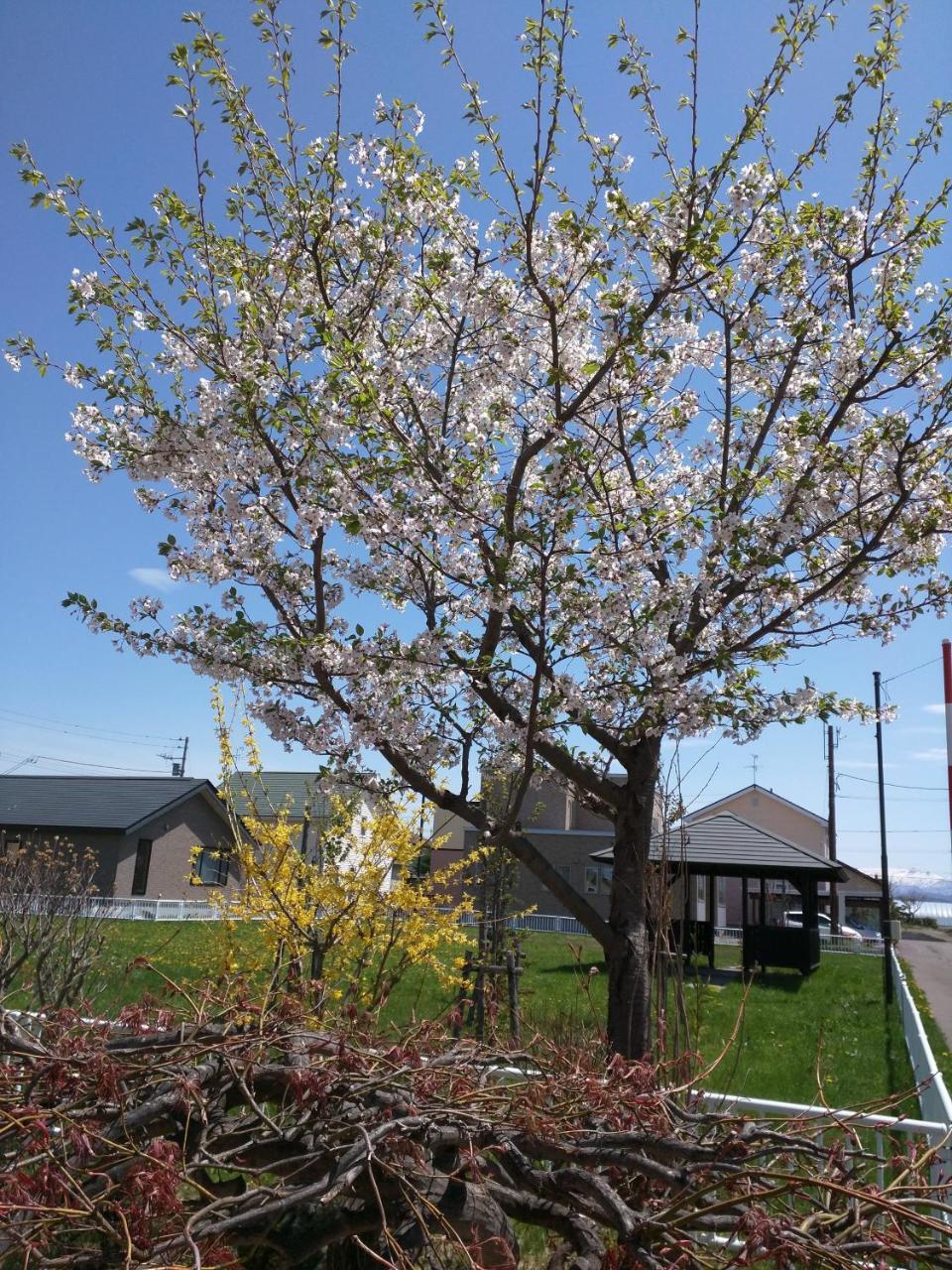 Haus (99 m²), 2 Schlafzimmer und 1 eigene Badezimmer in Higashikagura Asahikawa Exterior foto